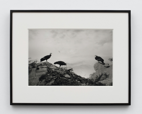 Hiroshi Sugimoto, , , Lisson Gallery