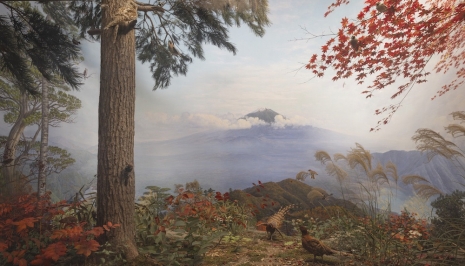 Hiroshi Sugimoto, Birds of Japan, 2025 , Lisson Gallery