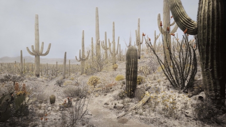 Hiroshi Sugimoto, Giant Cocutus, 2025 , Lisson Gallery