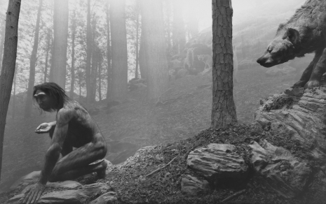 Hiroshi Sugimoto, Homo Erectus, 2025 , Lisson Gallery