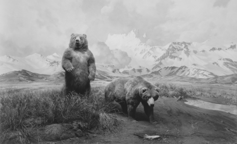 Hiroshi Sugimoto, Alaskan Brown Bear, 1980 , Lisson Gallery