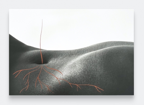 Binta Diaw , Paysage Corporel XVIII, 2025 , Andrew Kreps Gallery