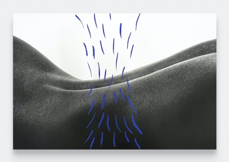 Binta Diaw , Paysage Corporel XIX, 2025 , Andrew Kreps Gallery