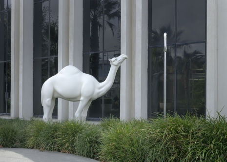 John Baldessari, Camel (Albino) Contemplating Needle (Large), 2013 , Sprüth Magers
