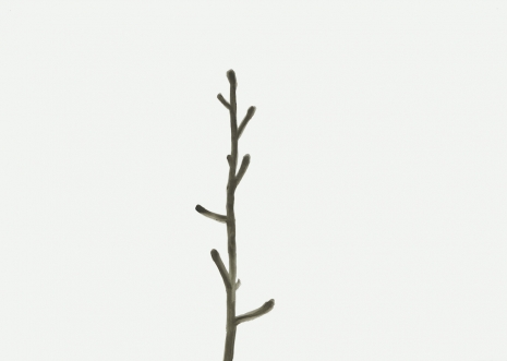 Silvia Bächli, Untitled, 2014, SKOPIA