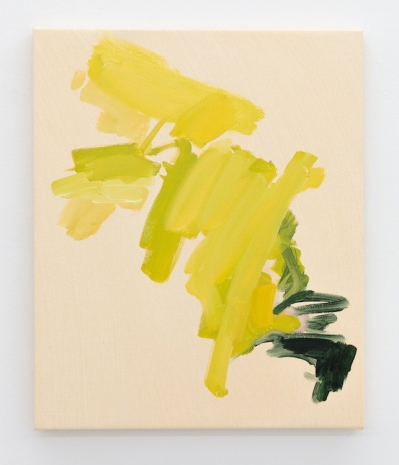 Marie Buskov, Villniss, 2026 , Galleri Riis