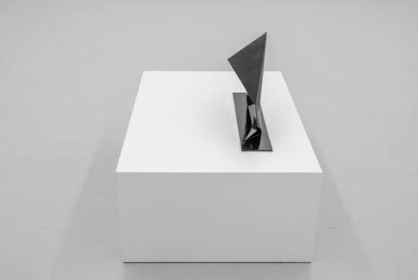 Marie Buskov, Sideløper, 2026 , Galleri Riis