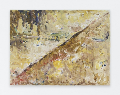 Peter Acheson, Archaic Landscape, 2022 , Anton Kern Gallery