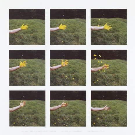 Andy Goldsworthy , Iris Petals Held to My Hand With Spit / Shook Off / Slate House Loch, Dumfriesshire, 2008 , Andrew Kreps Gallery