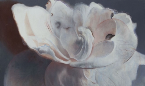 Xie Qi, , , Perrotin