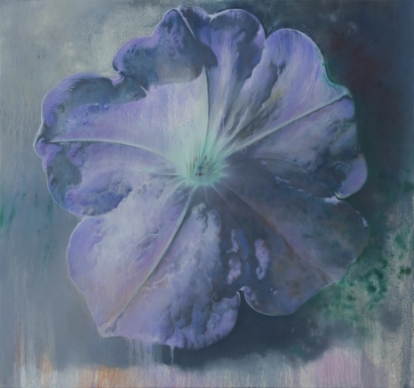 Xie Qi, Purple Divine Vanish, 2026, Perrotin