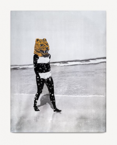 Lorna Simpson, Tiger with star spots, 2025 , Hauser & Wirth