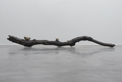 Dorothy Cross, Branch, 2017, Kerlin Gallery