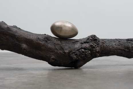 Dorothy Cross, Branch, 2017, Kerlin Gallery