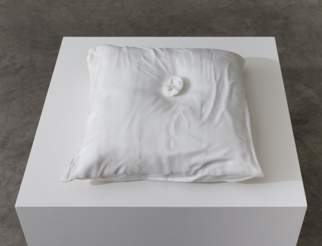 Dorothy Cross, Pillow, 2026, Kerlin Gallery
