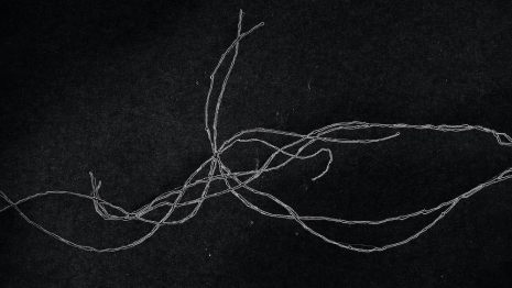 Jaki Irvine, SPLINE_SKETCH_WIND, 2026, Kerlin Gallery