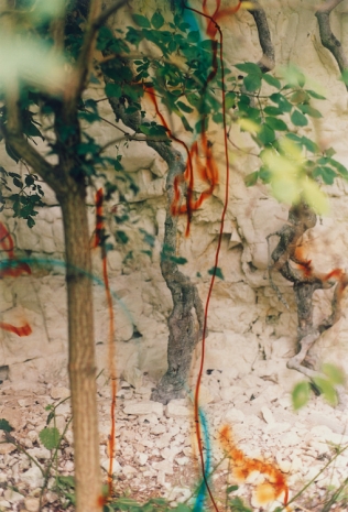 Wolfgang Tillmans, Quarry, 2001, Galerie Chantal Crousel