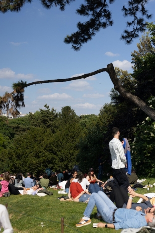 Wolfgang Tillmans, Parc des Buttes-Chaumont, Paris, 2025, Galerie Chantal Crousel