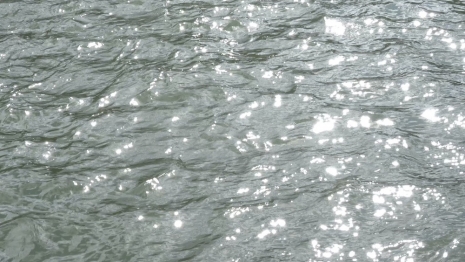 Wolfgang Tillmans, Cité Shadows / Seine Turbulences, 2026 (still), Galerie Chantal Crousel