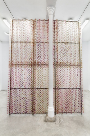 David Bestué, Pared (buganvilla), 2026 , Galería Ehrhardt Flórez