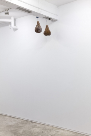 David Bestué, Peras de azúcar, 2022, Galería Ehrhardt Flórez