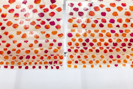 David Bestué, Lamas (rosa), 2026 , Galería Ehrhardt Flórez