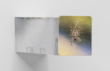 Ed Atkins, Black box timelapse (Spider), 2026 , Gladstone Gallery
