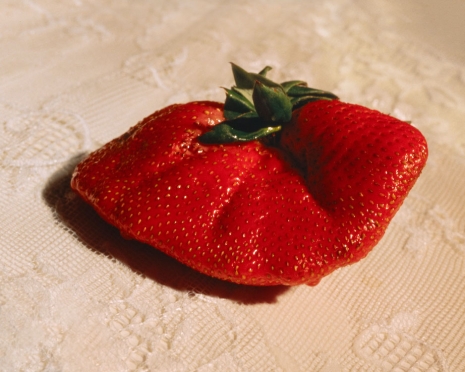 Shaun Pierson , Untitled (Strawberry on Lace), 2026 , Luhring Augustine Chelsea