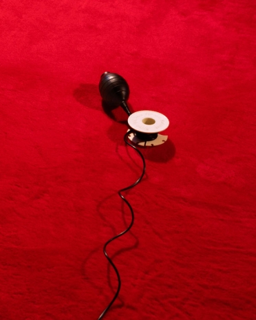 Shaun Pierson, Untitled (Cable Release), 2026 , Luhring Augustine Chelsea
