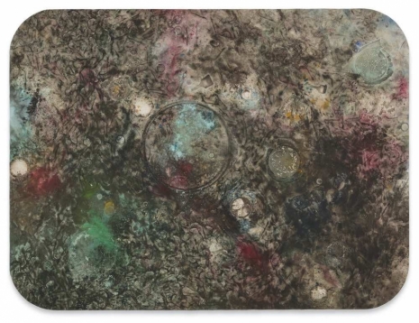 Lucy Dodd, Livestream, 2026 , Sprüth Magers