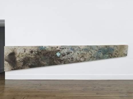 Lucy Dodd, Diving Board - WORKING TITLE, 2026, Sprüth Magers
