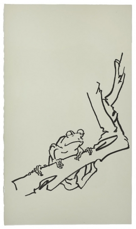 Fabienne Verdier, Grenouilles des bois et des champs XVI, 2025 , Galerie Lelong
