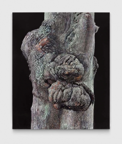 Daichi Takagi, Trunk, 2026 , David Zwirner