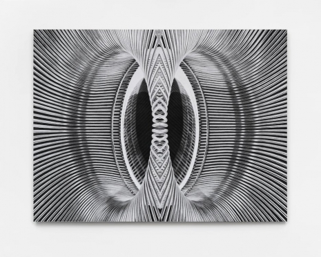 Yunyao Zhang, Connector XI, 2026, White Cube