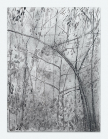 Silke Otto-Knapp, Wintertrees (light), 2012 , Regen Projects