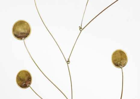 Tuan Andrew Nguyen, Parrot‘s Beak / Mỏ Két, 2026  (detail), Esther Schipper