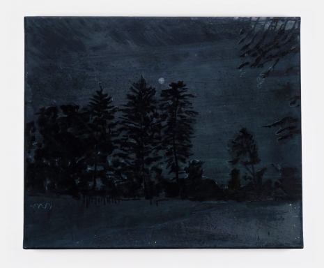 Elizabeth Magill, Wolf-Light, 2026, Kerlin Gallery