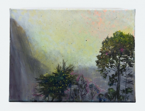 Elizabeth Magill, I’ve never felt magic, crazy as this, 2026, Kerlin Gallery