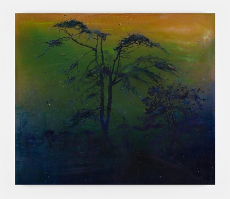 Elizabeth Magill, Another Green World, 2025 , Kerlin Gallery