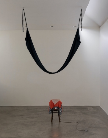 Aleana Egan, home and the world, 2026 , Kerlin Gallery