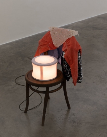 Aleana Egan, home and the world, 2026 , Kerlin Gallery