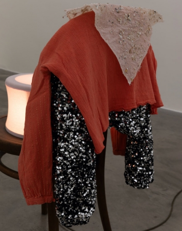 Aleana Egan, home and the world, 2026 , Kerlin Gallery