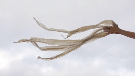 Edith Dekyndt, Animal Methods, 2024, Marian Goodman Gallery