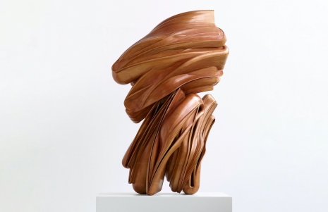 Tony Cragg, Stroke, 2024, Marian Goodman Gallery