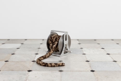 Nicole Wermers, Domestic Tail (Light Brown Spotted, 10 Meters), 2025, Herald St