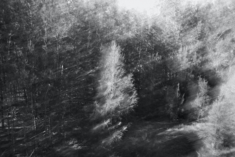 Taiki Sakpisit, You Don’t Live Here Anymore, 2026 , ShanghART