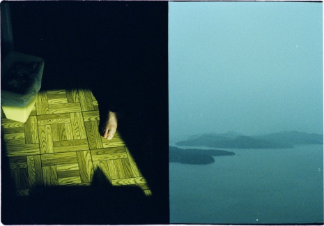 Luke Fowler , Cross Laminate (Galliano Island), 2009 , Galerie Gisela Capitain