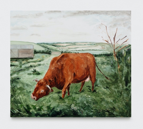 Tanya Merrill, A milking cow at Evelyn’s dairy, 2026 , 303 Gallery