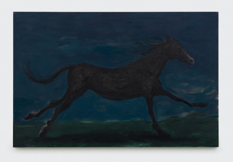 Tanya Merrill, Horse at night, 2026 , 303 Gallery