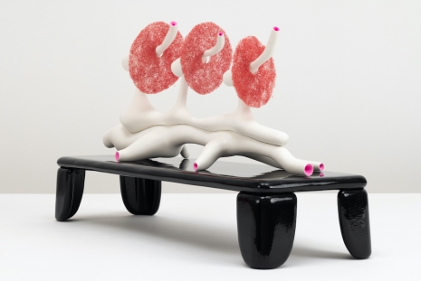 Matthew Ronay, For the Hungry Ghost, 2026 , Casey Kaplan